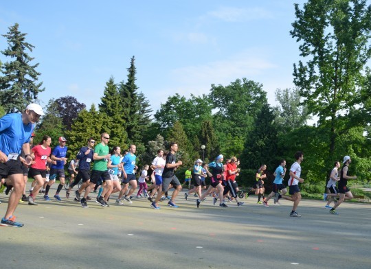 Memoriál Jiřího Hronka 2018